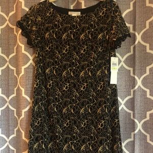 NWT Lace Dress from Nordstrom